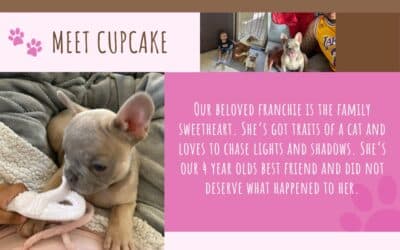 Meet Nicholas and Cupcake