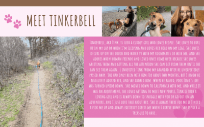 Meet Nyah and Tinkerbell
